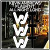 Download track All Night Long (Instrumental Mix)