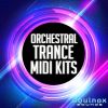 Download track Loneliness (Orchestral Trance Mix)