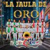 Download track La Jaula De Oro