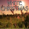 Download track White Christmas - Tribute To Michael Buble With Shania Twain (Instrumental Version)