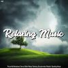 Download track Stress Relief Meditation