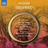 Download track Siegfried, WWV 86C, Act III Bleibst Du Mir Stumm, Störrischer Wicht