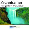 Download track Forgotten Paradise (Original Mix)