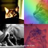 Download track Carefree (Cute Kittens)