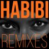 Download track Habibi (G-S Pro Kizomba Remix)