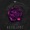 Download track Resilient