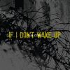 Download track If I Don't Wake Up