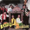 Download track El Fieston De Los Bichos