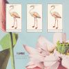 Download track Flamingo