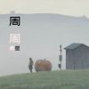 Download track 周周 (伴奏)