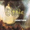 Download track Snowstorm