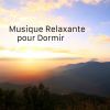 Download track Musique De L'Océan