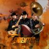 Download track Nuevos Talentos