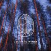 Download track Delicate Wings