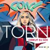 Download track Torn (Cirkut DJ Mix)