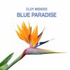 Download track Blue Paradise (Running Mix)