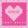 Download track Amor (DJ Store Extended Remix)