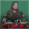 Download track Cimri'