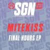 Download track Final Hours