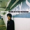 Download track The Fine Art Of Self-Destruction