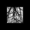 Download track Blair Witch