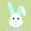 Download track Tropical Breeze (Big Bunny Dub Remix)