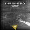 Download track Dilation