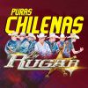 Download track Huapango Flor De Piña