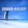 Download track Stunning Luxury Hotel Ocean Sounds, Pt. 14