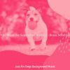 Download track Vivacious Ambience For Walking Your Dog