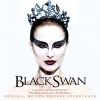 Download track A Swan Song (For Nina)