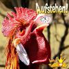 Download track Aufstehen! (Radio-Edit)