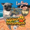 Download track Mix Cachorreando Quebraditas: Amor Mío / Te Juro / Temporal De Amor / Eres La Única