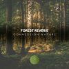 Download track Forest Reverie