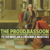 Download track Sonata In C Major For Bassoon And Continuo, FaWV N. C 1 - I. Largo