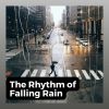 Download track Waiting In The Rain