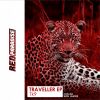 Download track Traveller