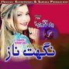 Download track Sindh Samori Munhji Jan