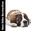 Download track Beruhigen Sie Ihren Hund