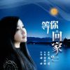 Download track 等你回家 (伴奏)