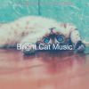 Download track Simple Ambience For Cats