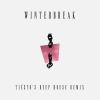 Download track Winterbreak (Tiestos Deep House Remix)