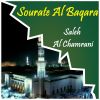 Download track Sourate Al Baqara, Pt. 2 (Quran)