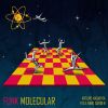 Download track Funk Molecular (Extended Version)