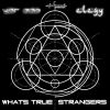 Download track Whats True (Elegy Remix)