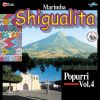 Download track Mosaico Shigualo 3: Brisas Del Valle / Mariachi Loco / Mi Morenita