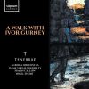 Download track A Walk With Ivor Gurney