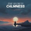 Download track Serenity's Secret