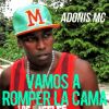 Download track Vamos A Romper La Cama