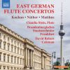 Download track Kochan: Flute Concertino: III. Vivace